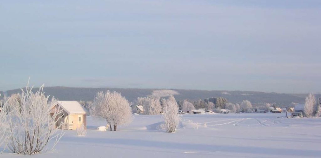 natur-vinter